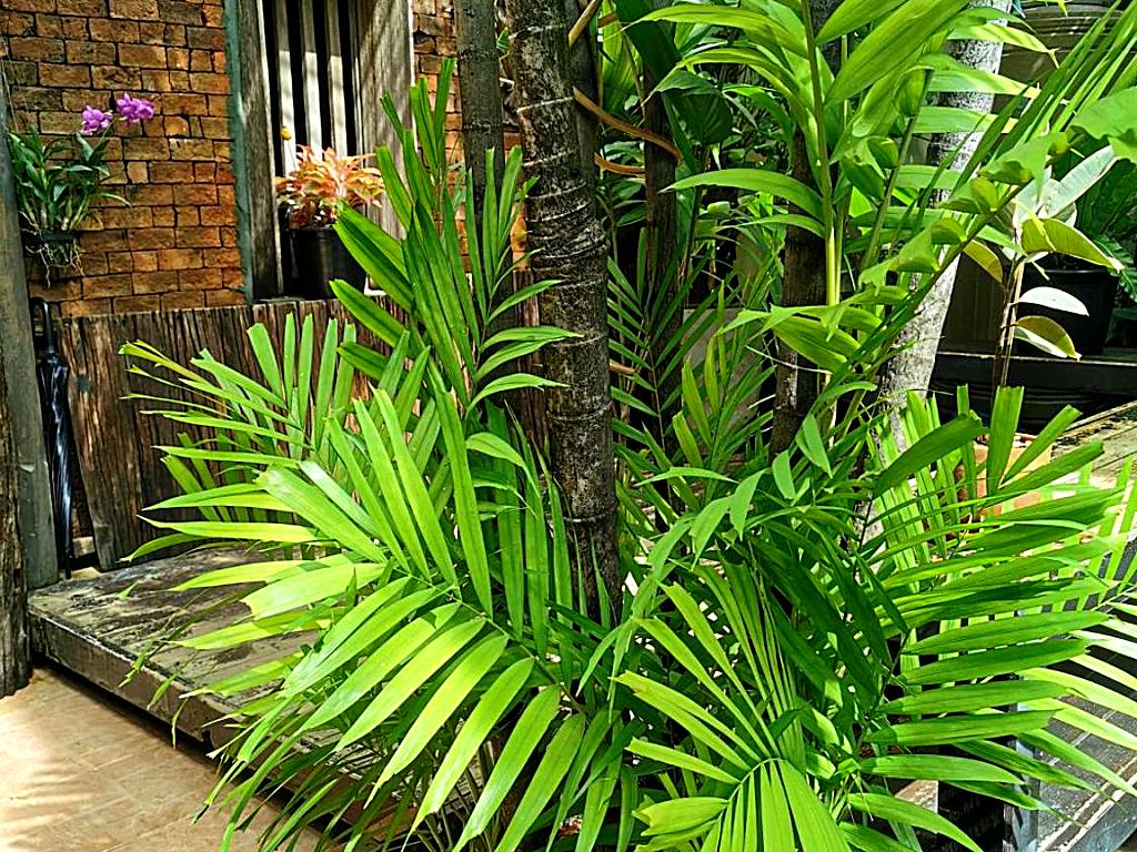 Sri Ayuttaya Guesthouse