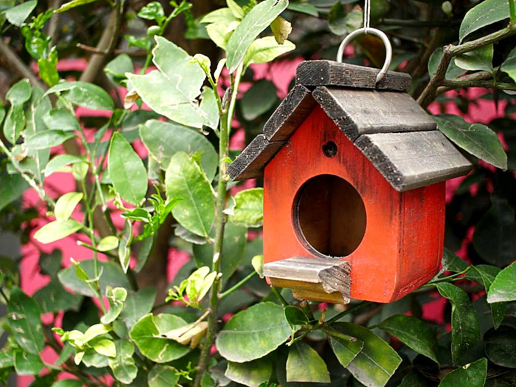 Colibrí B&B