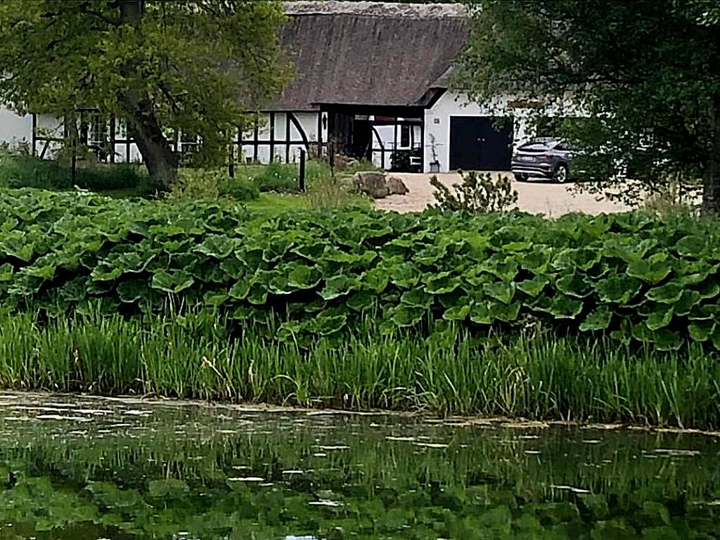 Bækgaardens bed and breakfast