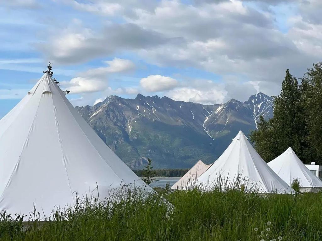 Lulu's Glamping Tents and Events with Exceptional River View